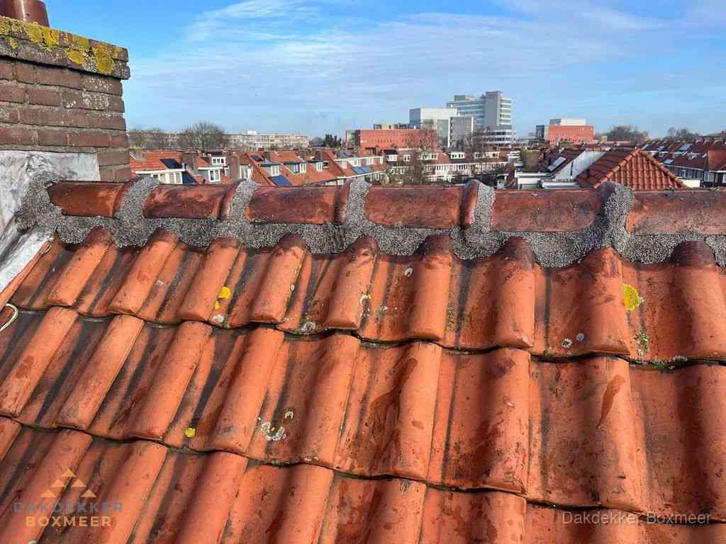 Boxmeer Daken Renoveren Boxmeer Daken Renoveren