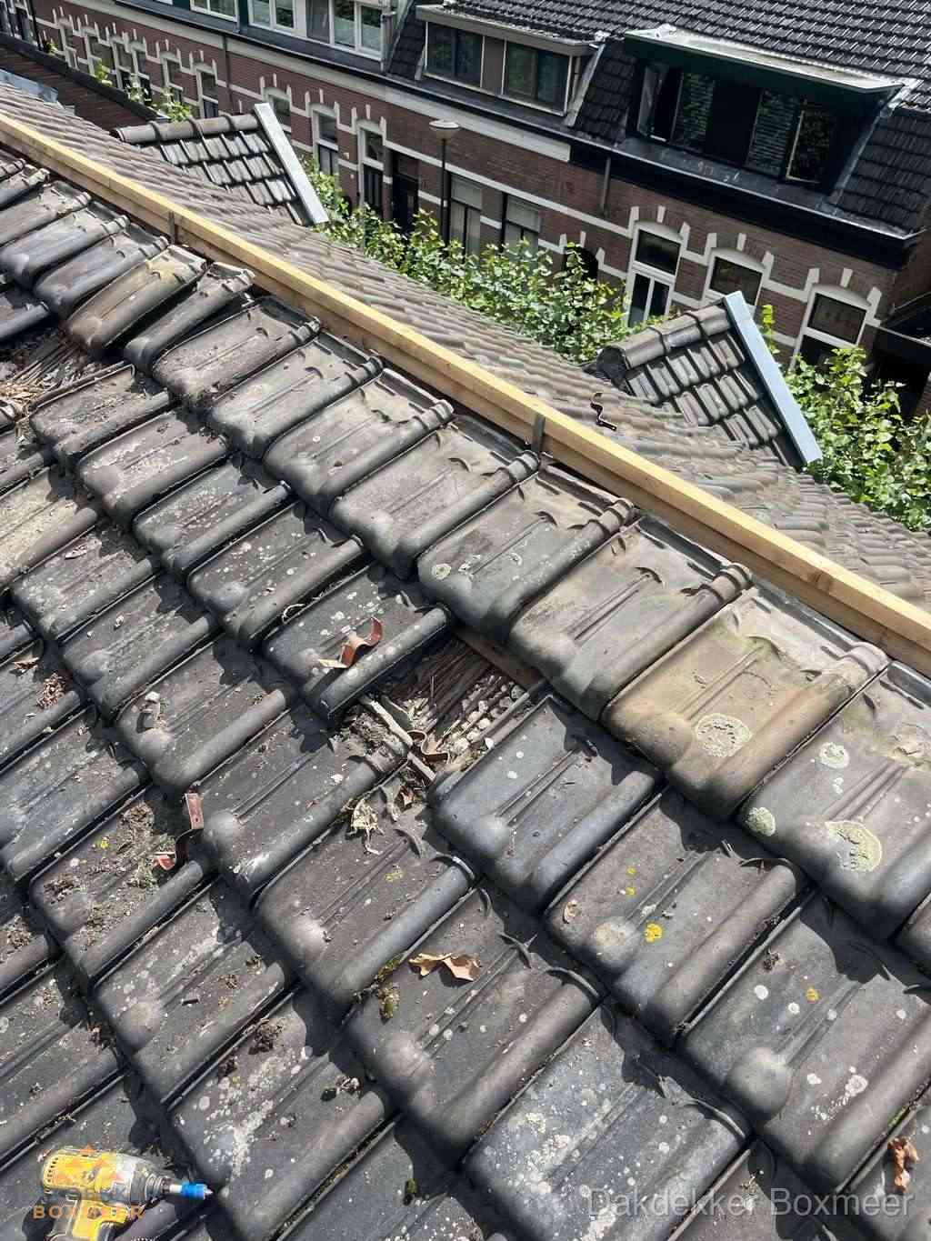 Dakonderhoud Boxmeer Dakonderhoud Boxmeer